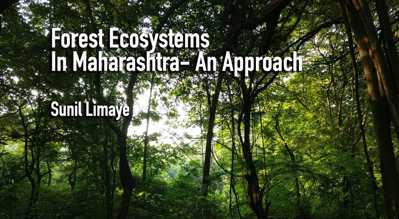 Forest Ecosystems